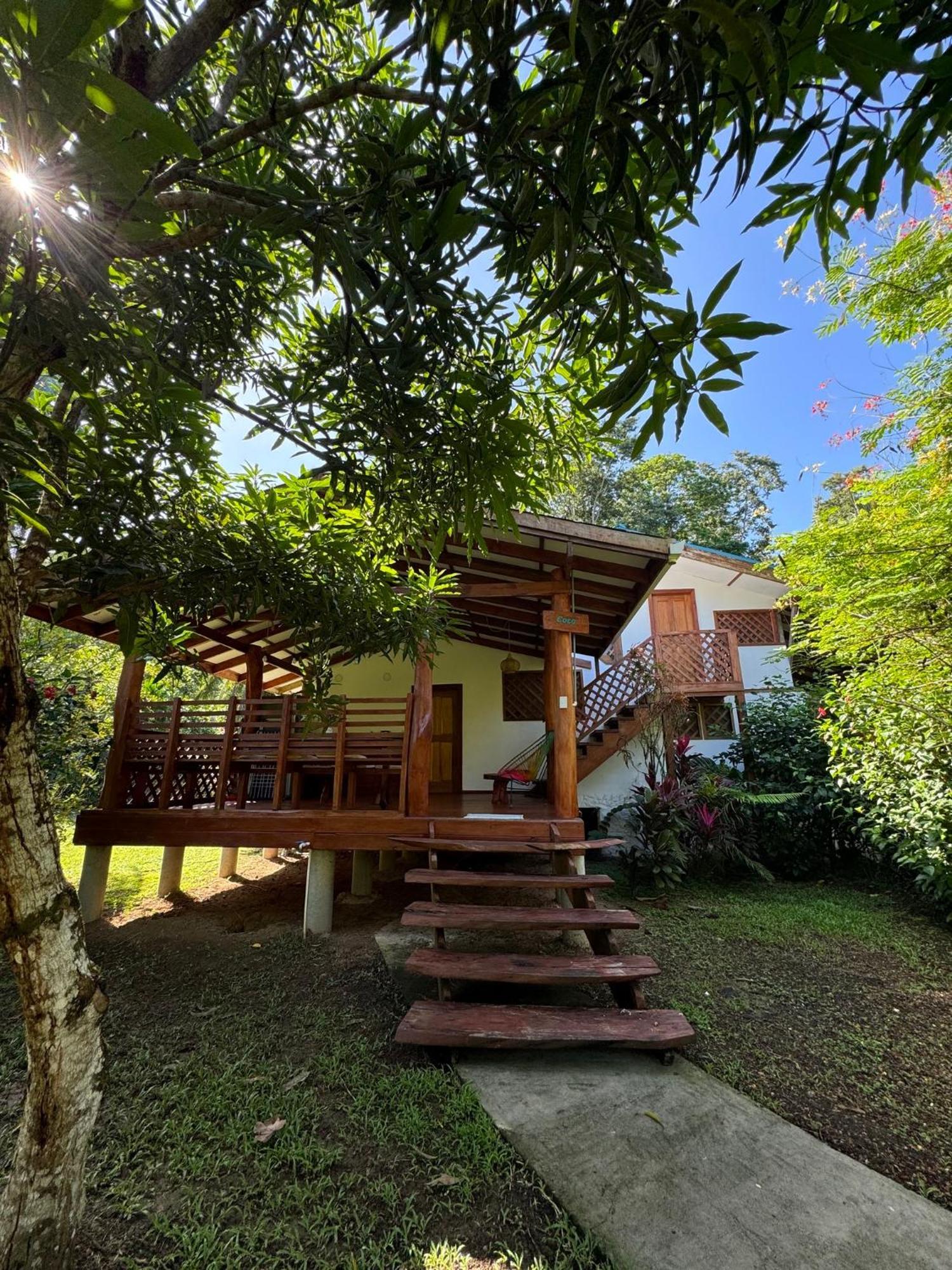 Passion Fruit Lodge Cahuita Extérieur photo