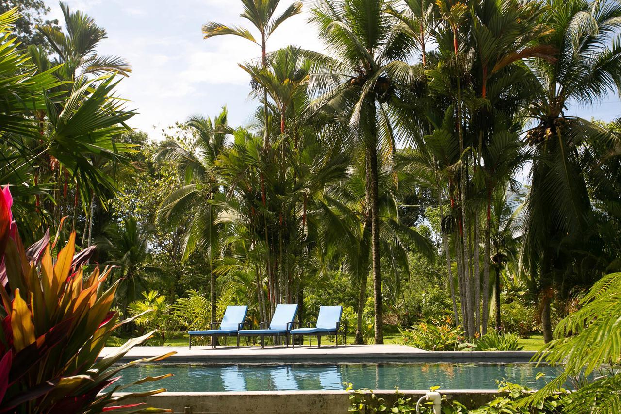 Passion Fruit Lodge Cahuita Extérieur photo